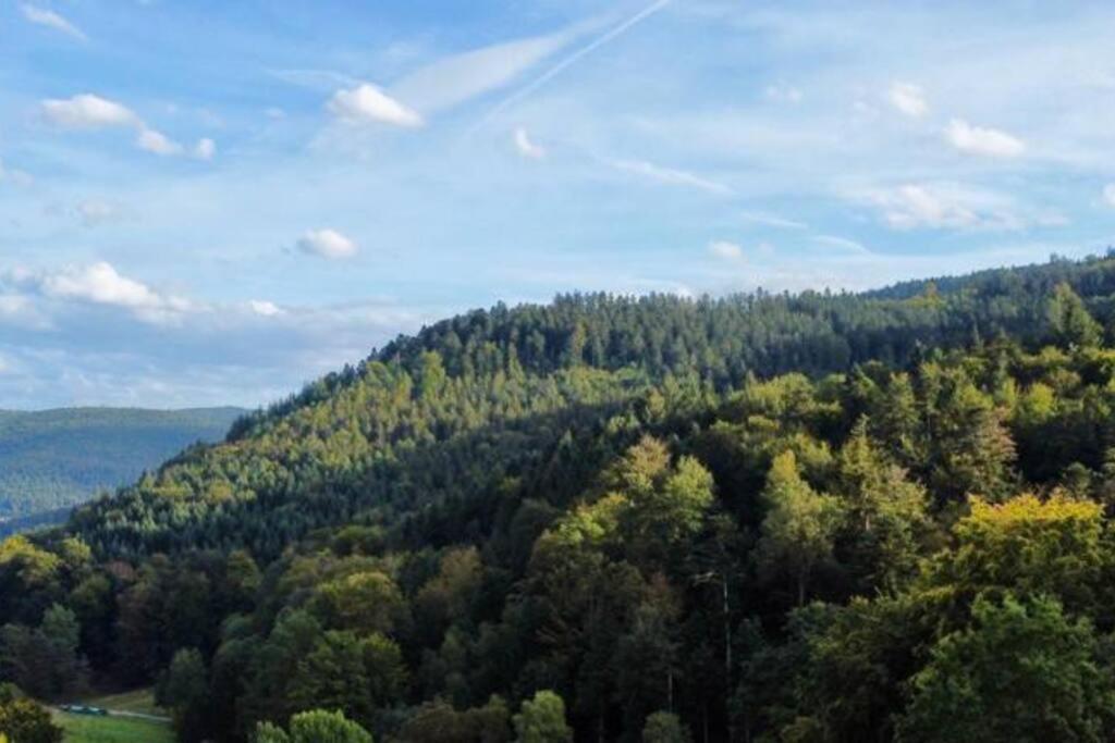 Wohnen Im Schwarzwald Mit Panoramablick Appartement Bad Herrenalb Buitenkant foto